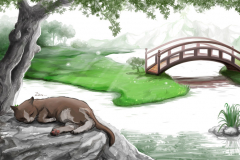 Chat dans jardin zen