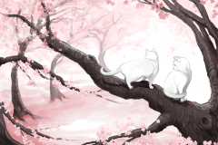 Chats dans cerisiers